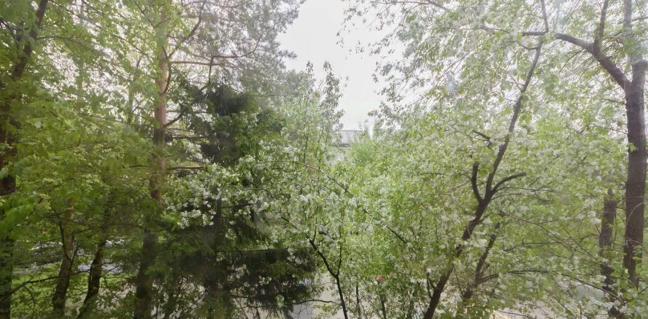 квартира г Тюмень р-н Восточный ул Монтажников 12 фото 5