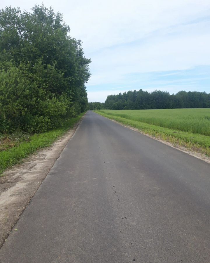 земля г Бор с Линда д. Дроздово фото 7