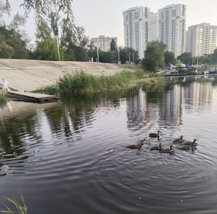 квартира г Энгельс ул Шурова гора 7/12 фото 29