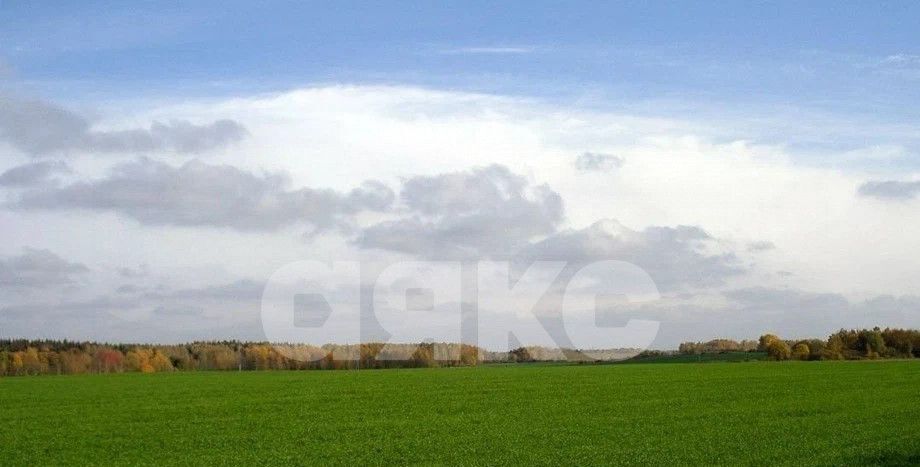земля г Майкоп пер Айвовый фото 2