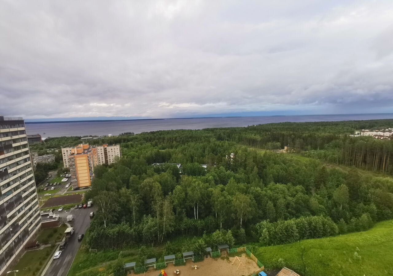 квартира г Петрозаводск р-н Ключевая Ключевая ул Петрова 25 фото 3