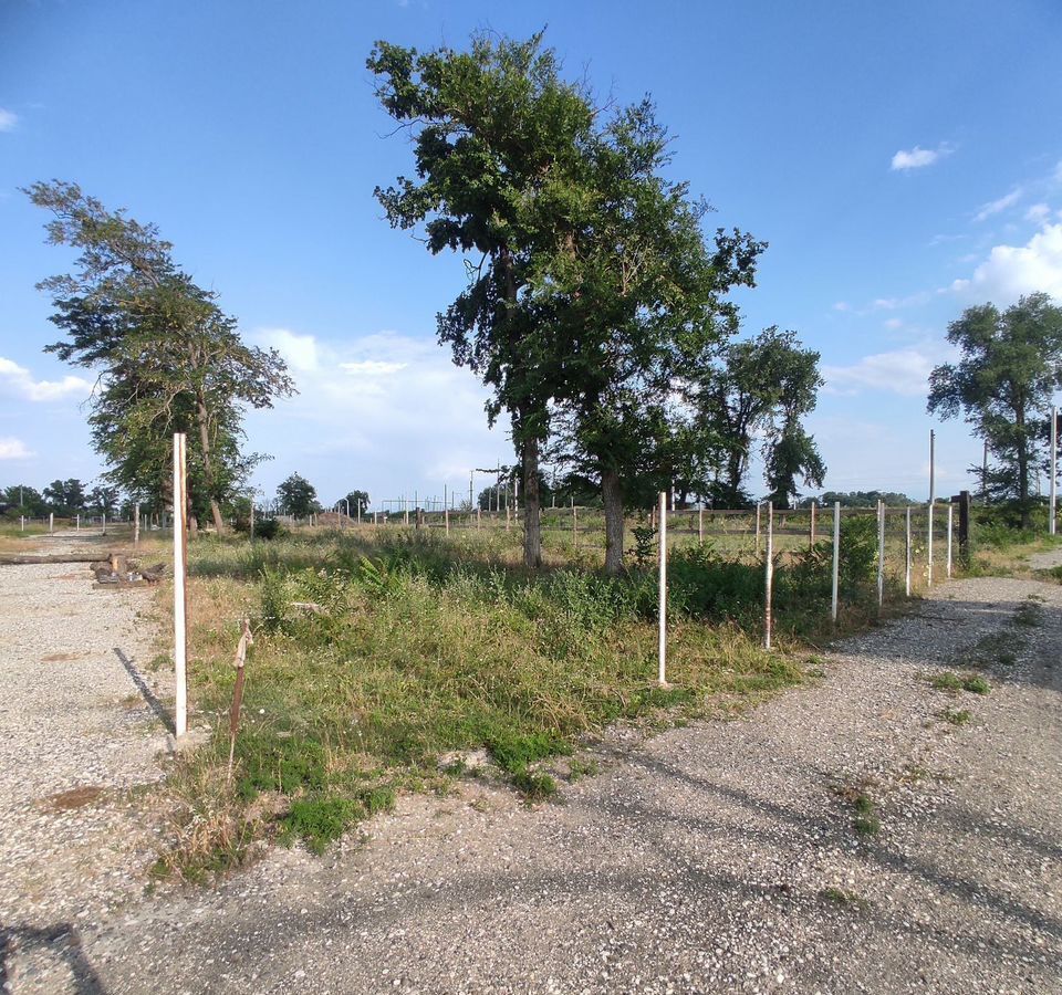 земля г Аргун ДНТ Родничок фото 1
