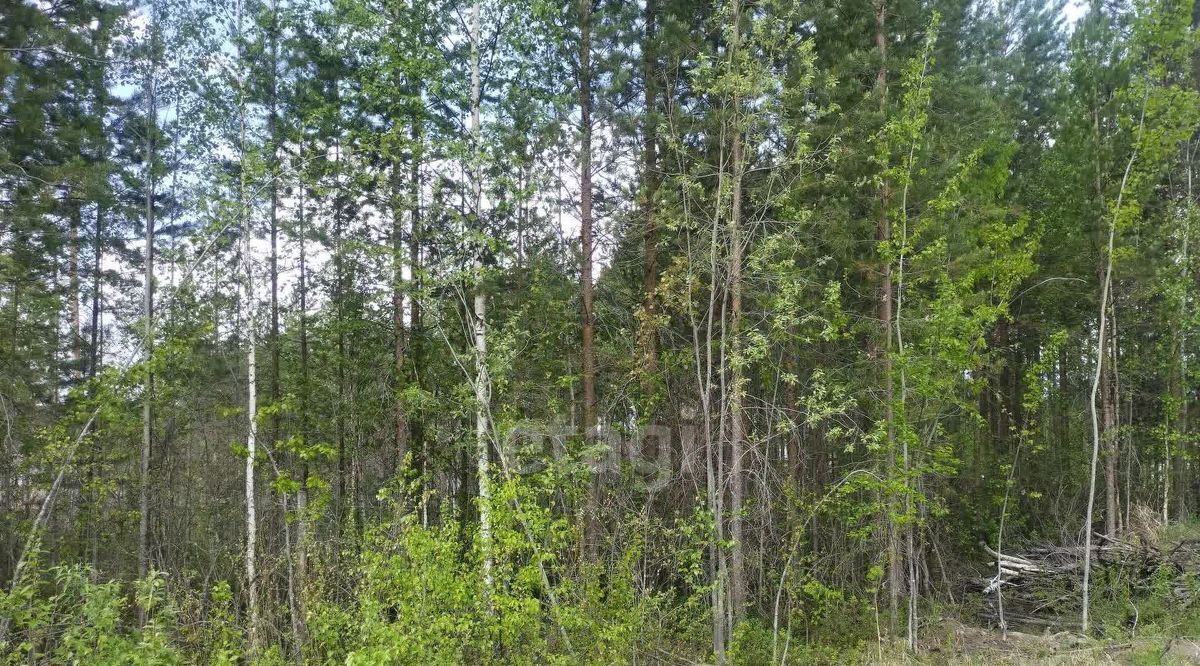 земля г Сыктывкар пгт Верхняя Максаковка Яг-кар мкр фото 10