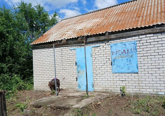 сельсовет, станция Третьяково, Центральная ул., 39 фото