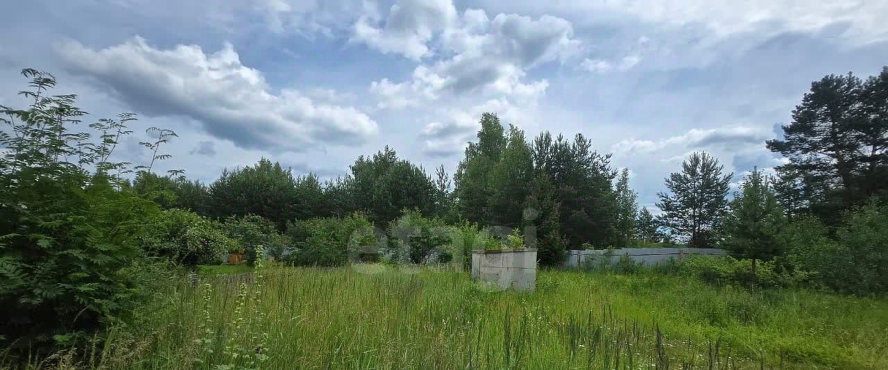земля г Кострома снт Струя-2 фото 3