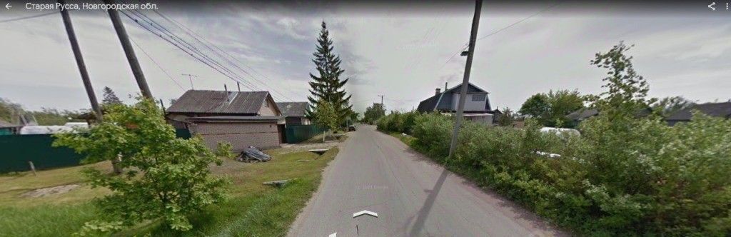 земля р-н Старорусский г Старая Русса ул Зеленая 22 фото 12