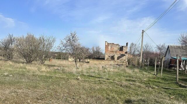 Василек дп, 29 фото
