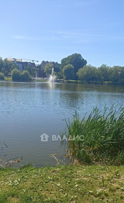 квартира г Калининград р-н Московский ул Минусинская 7 фото 21