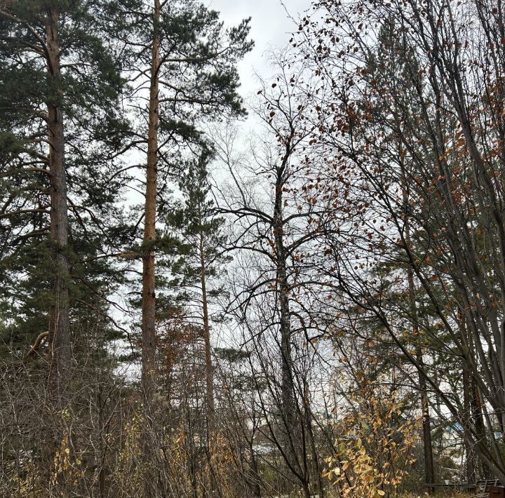 дом г Железногорск снт N 15 фото 10