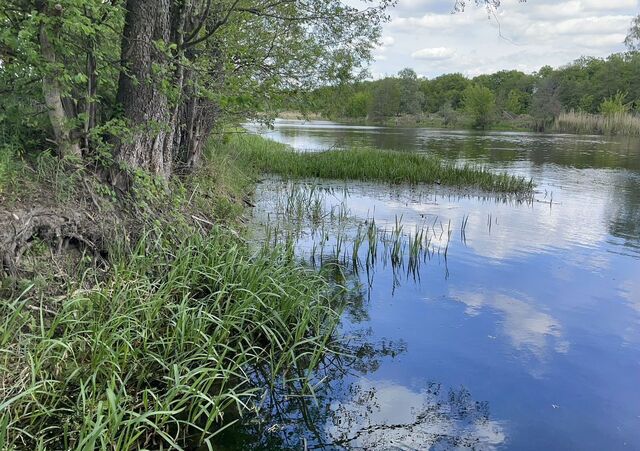 ул Студенческая Берёзовское сельское поселение, Рамонь фото