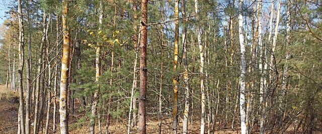 офис снт Тархановка фото