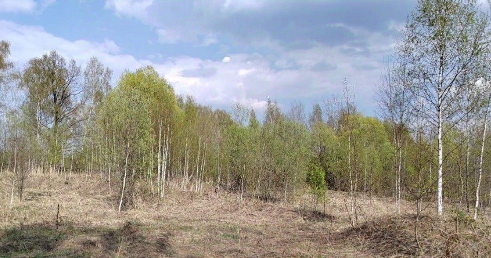 офис г Чехов фото 1