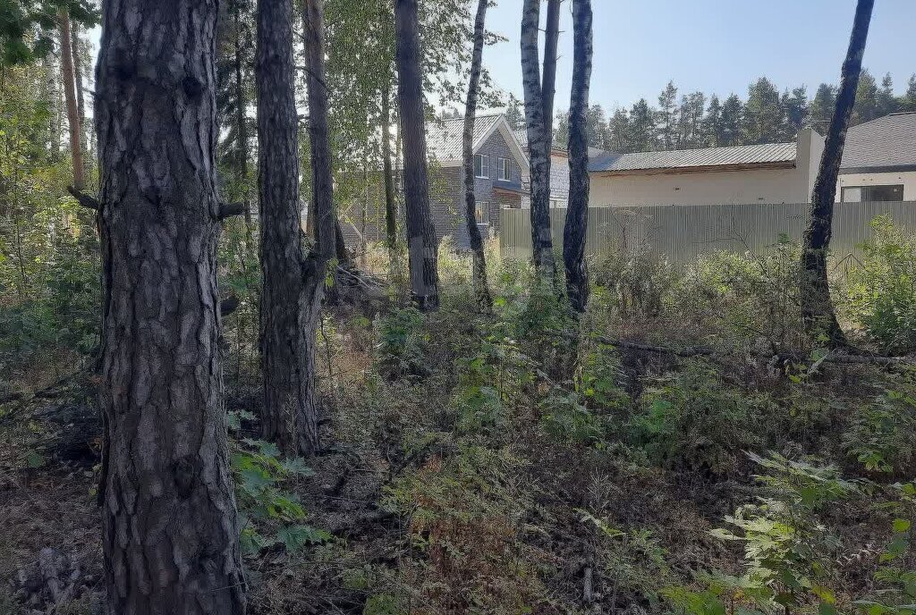 земля г Балашиха д Дятловка Ольгино, КП Купавна Вилладж фото 3