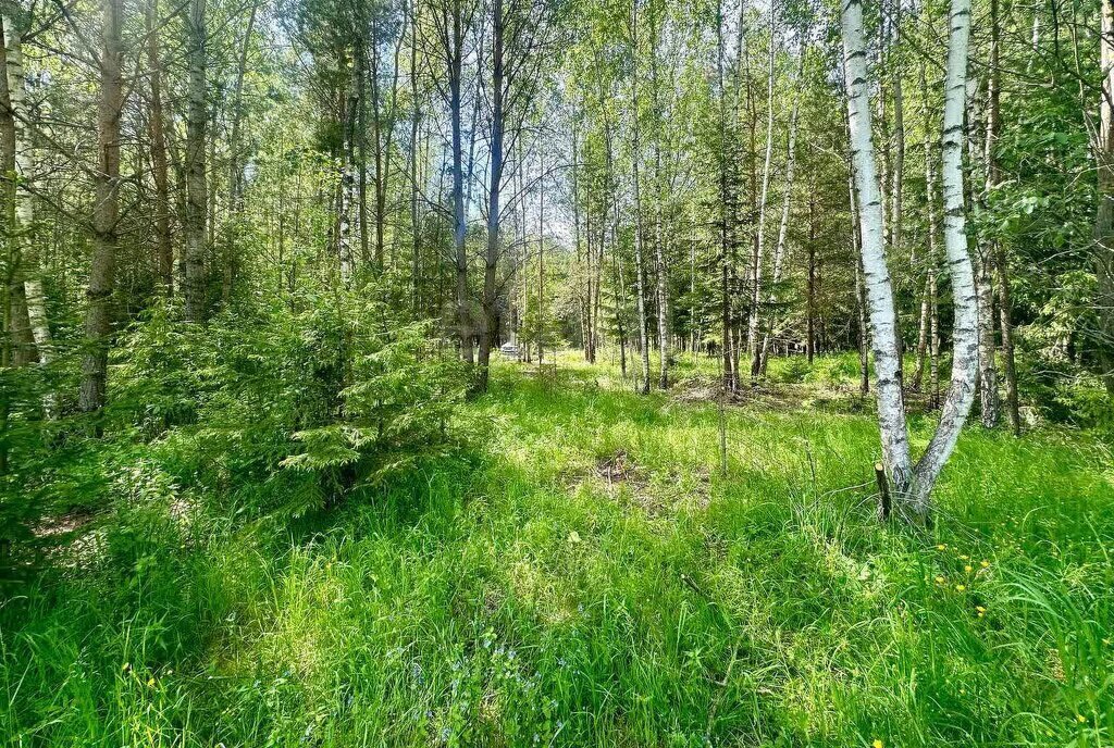 земля г Ступино коттеджный посёлок Шелково Форест фото 6