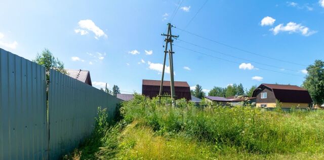 р-н Центральный снт Березняки ул Васильковая фото