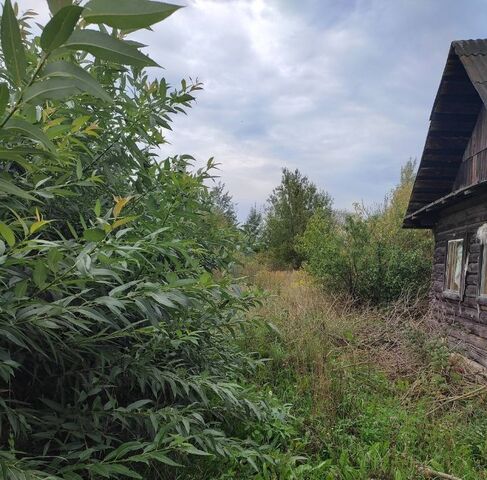 земля д Трубичино Трубичинское с/пос фото