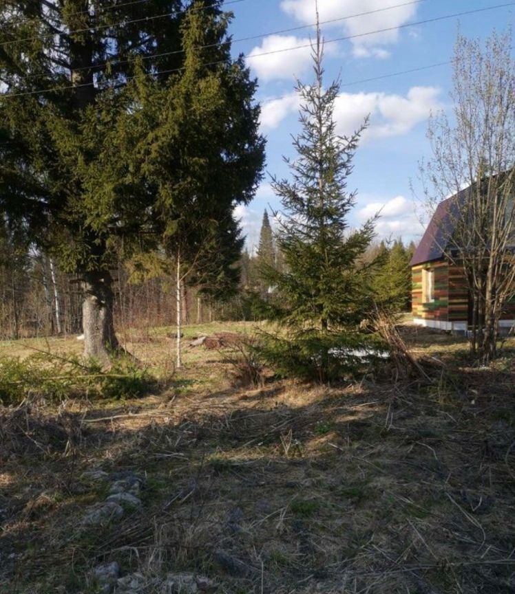 дом г Добрянка п Полазна сад снтN19 фото 10