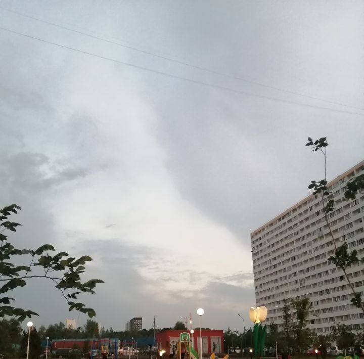квартира г Новосибирск ул Забалуева 88 Площадь Маркса фото 5
