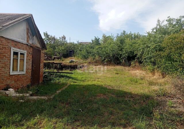 земля р-н Октябрьский снт Зеленый Яр фото