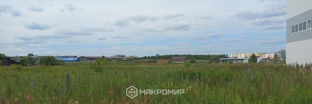 Засечный сельсовет фото Засечный сельсовет фото