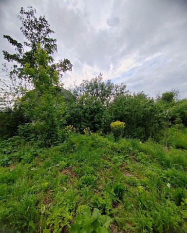 Золотая Нива ул Каменский Тракт 24 фото