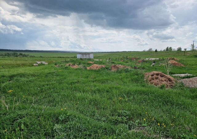 земля река Зай фото