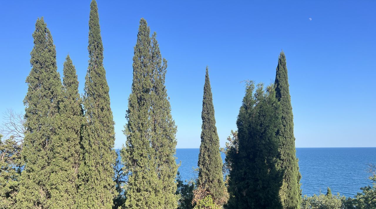 дом г Алушта ул Набережная 26ж фото 12