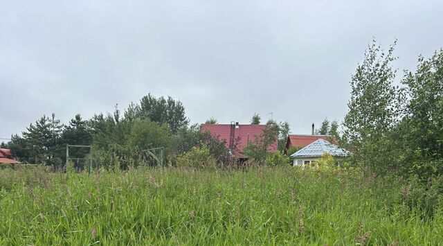 снт Сахарово фото
