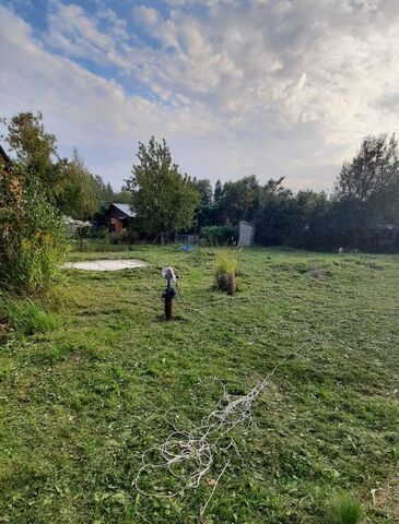снт Комягино Пушкинский городской округ фото