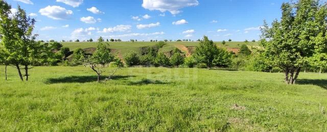 Русскогвоздёвское сельское поселение, пруд Бобков Лог, Воронеж фото