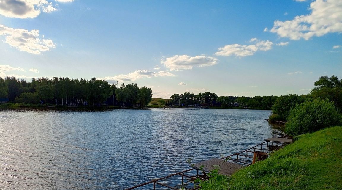 земля г Домодедово Кузьминское Парк кп, 464 фото 9