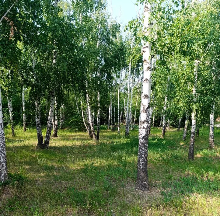 офис г Волгоград р-н Кировский ул им. Кирова 142 фото 5