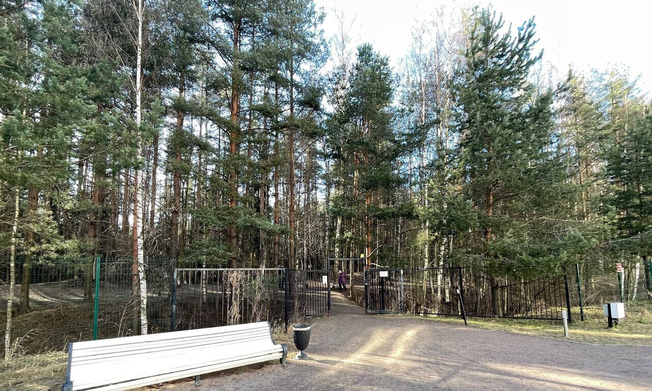 квартира р-н Всеволожский г Всеволожск Доктора Сотникова, 5 фото 27
