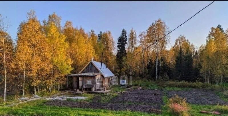 земля г Сыктывкар Эжвинский Тюльпан СНТ, проезд 1-й фото 1