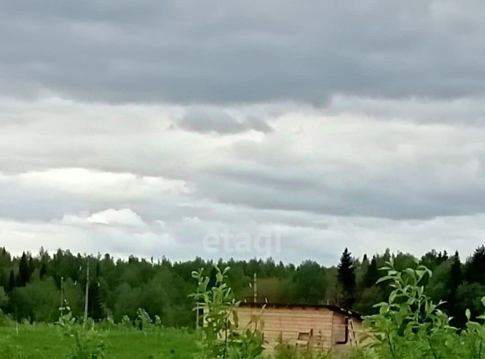 земля г Сыктывкар Радиобиология мест фото 4