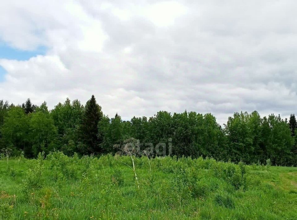 земля г Сыктывкар Радиобиология мест фото 8