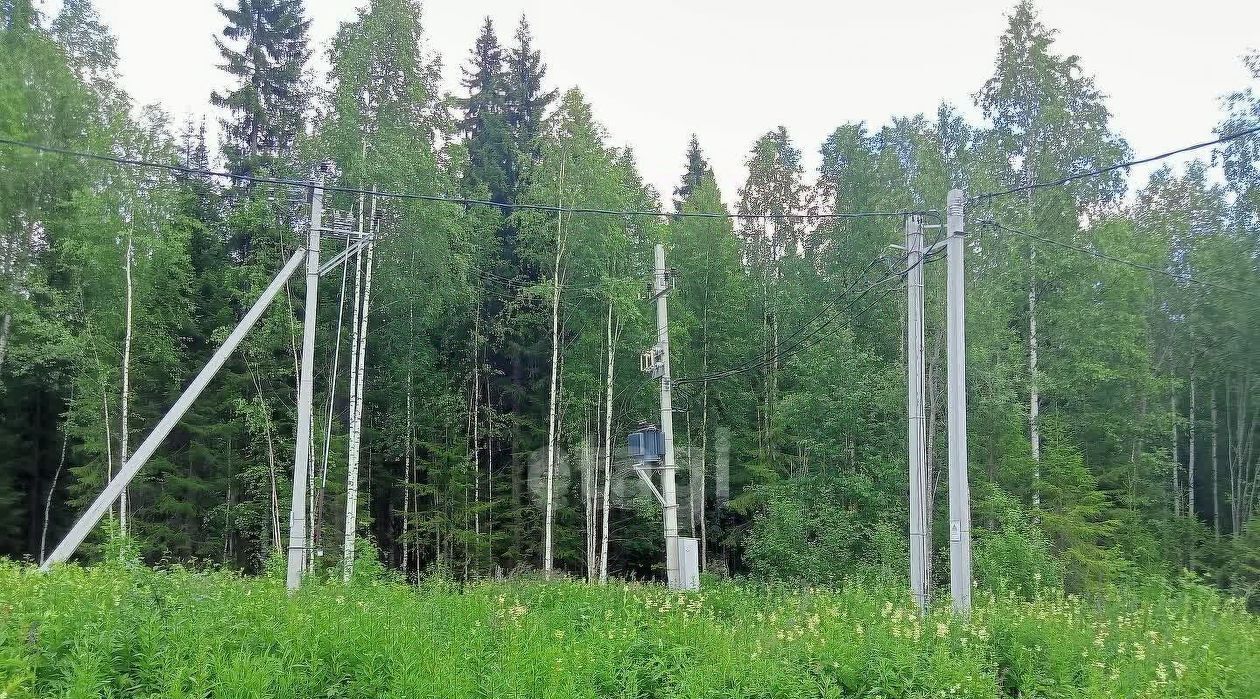 земля г Сыктывкар ул 10 Линия фото 8