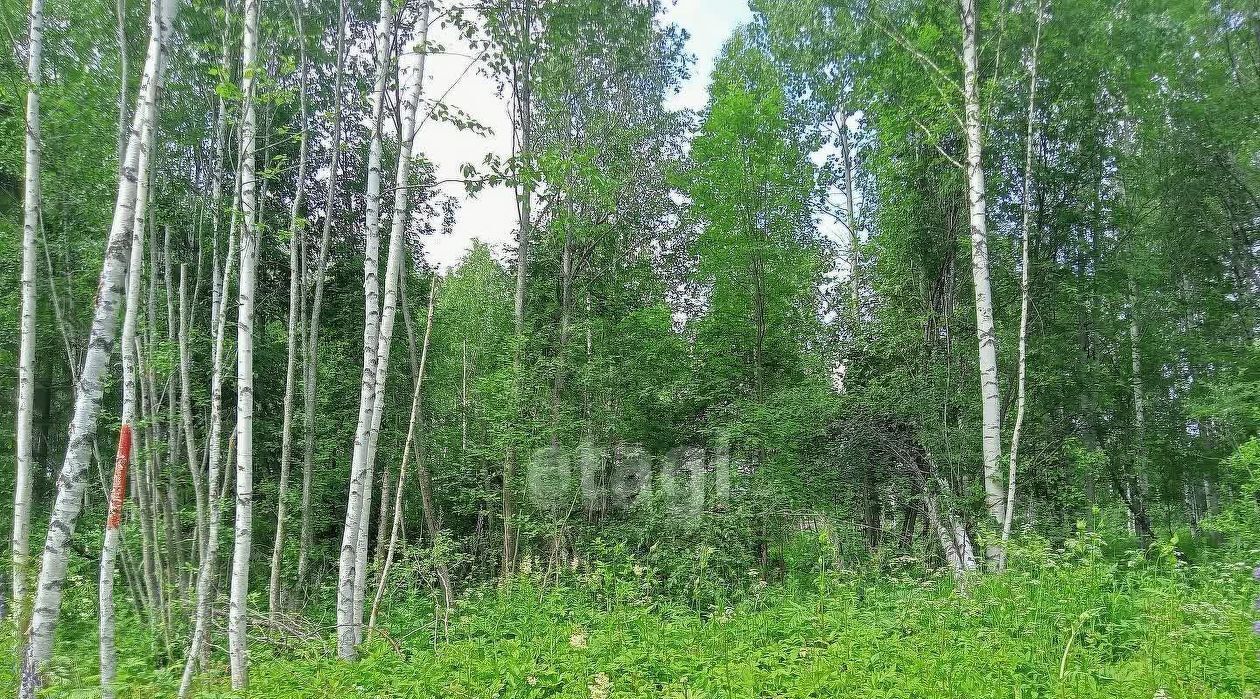 земля г Сыктывкар ул 10 Линия фото 10