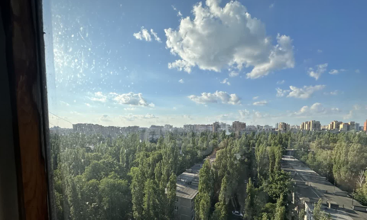 квартира г Воронеж ул Беговая 8/3 фото 7