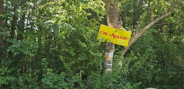 земля г Арсеньев фото