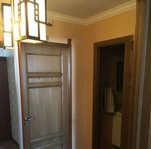 квартира г Воронеж р-н Коминтерновский ул Владимира Невского 19 фото 10
