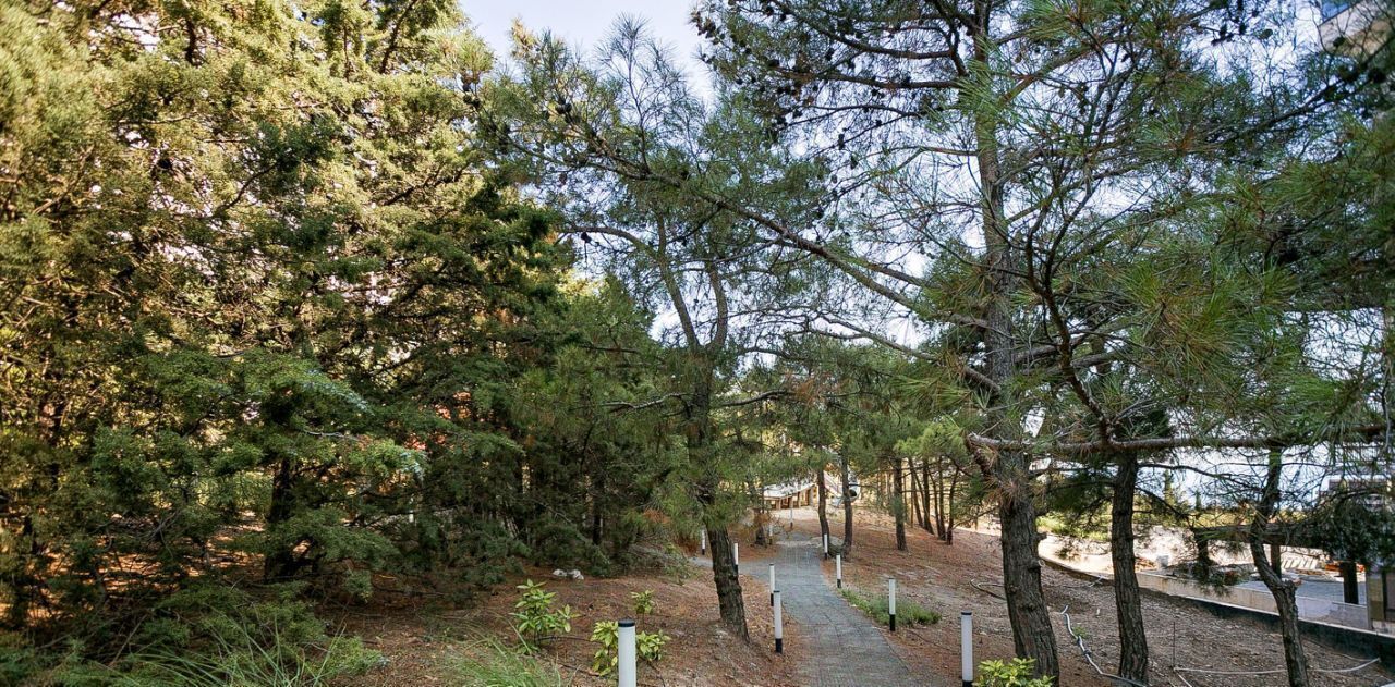 квартира г Алушта п Семидворье пер Пограничный 7 фото 31