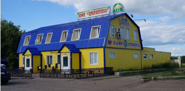 Республика Татарстан Татарстан, Булдырское сельское поселение, Чистополь фото