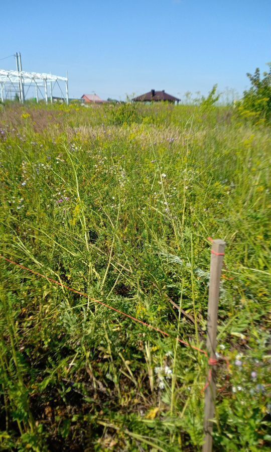 земля р-н Чистопольский г Чистополь ул П.Гаврилова Республика Татарстан Татарстан, муниципальное образование Чистополь фото 2