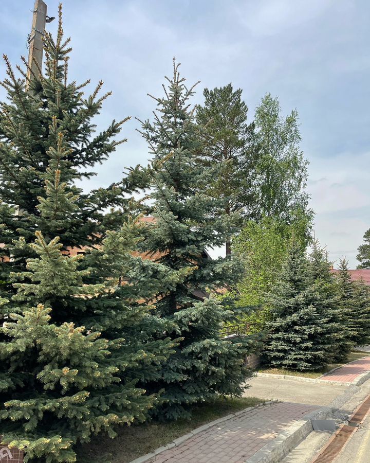 земля г Зима ул Гагарина 40 фото 1