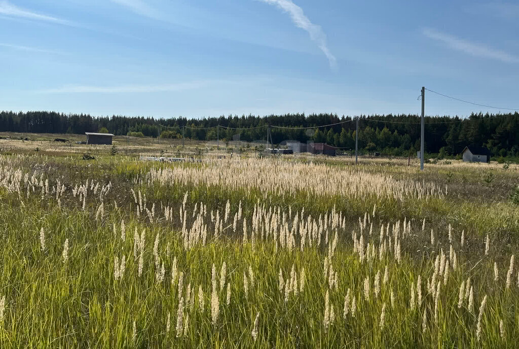 земля г Ульяновск с Луговое ул Троицкая фото 3