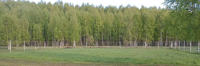 ул 1-я линия 28 Пекшинское муниципальное образование фото