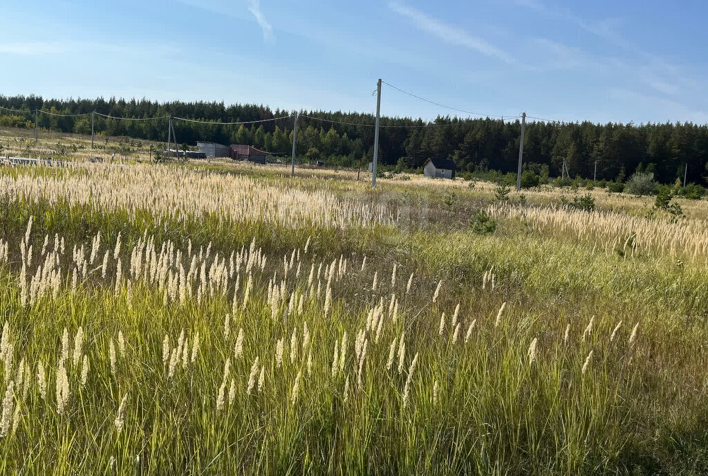 земля г Ульяновск с Луговое ул Троицкая фото 5