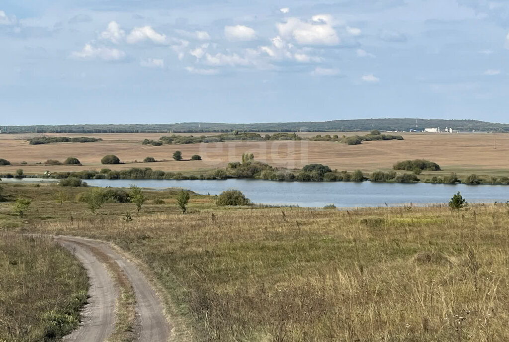 земля г Ульяновск с Луговое ул Троицкая фото 8