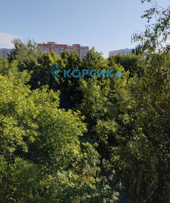 квартира г Набережные Челны пр-кт Раиса Беляева 49 фото 18